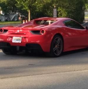 Meet your Posher, Gavin